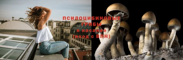а пвп мука Алексеевка