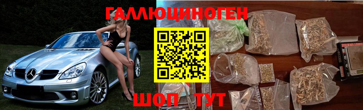 Галлюциногенные грибы Cubensis Тихвин